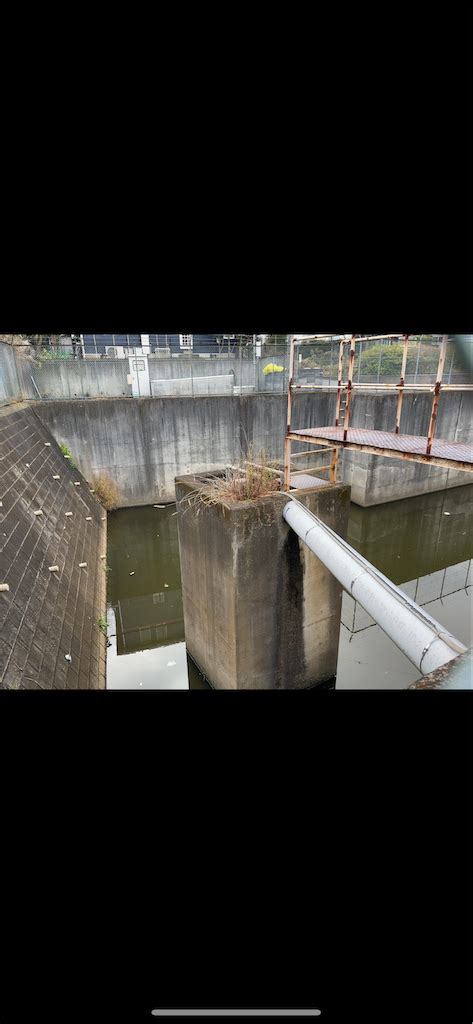 貯水池 近く 家